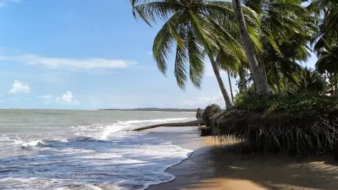 Receptivo Patacho Praia