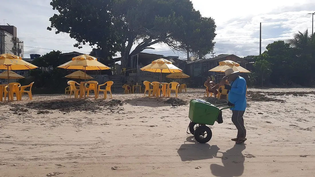 Praia de Ponta do Seixas