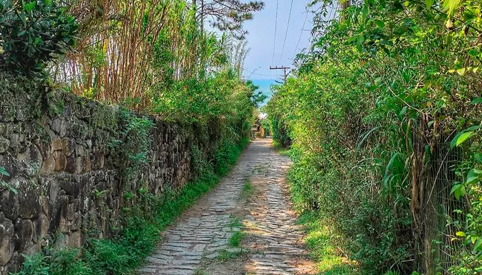 10 Fatos que Fará Você Viajar para Praia do Rosa