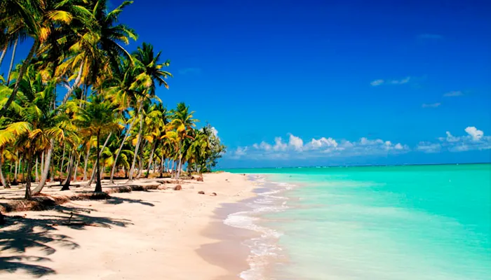 As 7 praias mais bonitas e paradisíacas do litoral nordestino