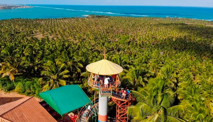 As 12 praias mais bonitas do Nordeste