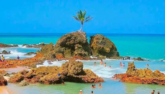 As 12 praias mais bonitas do Nordeste