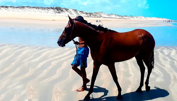 Idílico Rest Beach Club: Verão sem fim em Gostoso