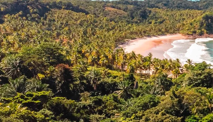 São José Beach Club: Secret em Itacaré