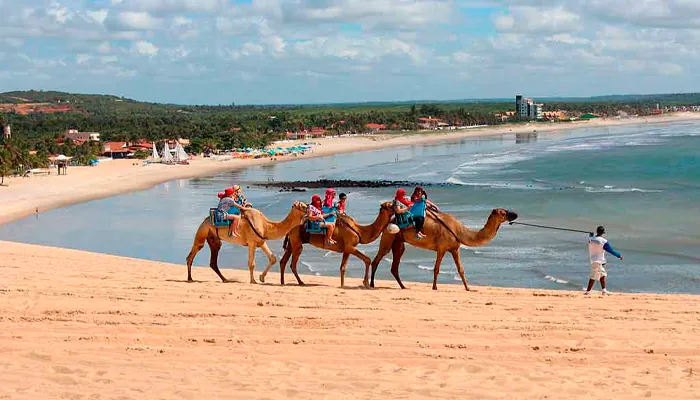 Viajar de carro pelo litoral do nordeste: Como fazer