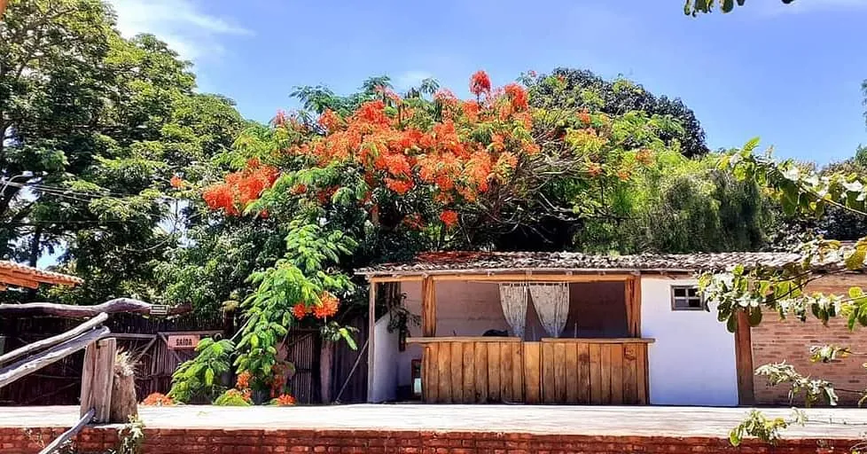 Itaúnas: O que fazer nesse paraíso quase desconhecido no litoral do Espírito Santo