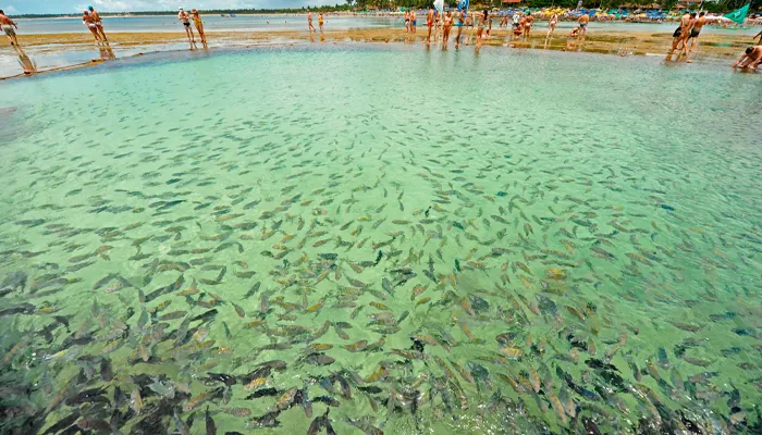 Porto de Galinhas: O que fazer, onde comer, onde ficar