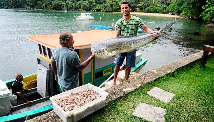 Pousada Asalem em Ilha Grande: Desfrute da sensação de viver na Natureza