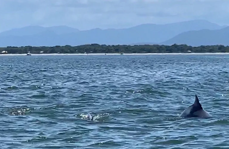Ilha do Mel: O guia completo de viagem