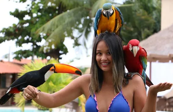 Maragogi: 5 passeios imperdíveis e 1 dica bônus!
