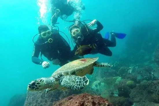 Mergulho em Ubatuba