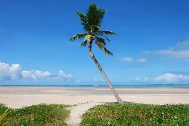 São Miguel dos Milagres: uma das praias mais bonitas do Nordeste