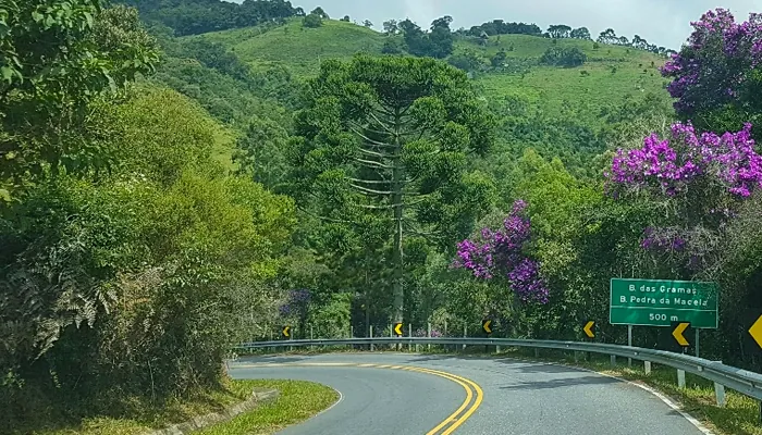 Por que Paraty é tão especial e atrai tantos visitantes?