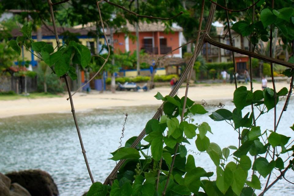 A praia do Abraão vista entre as folhas